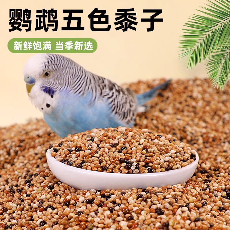 五色黍子鸟粮虎皮牡丹玄凤中小型鹦鹉鸟食饲料鹦鹉混合粮谷子5斤