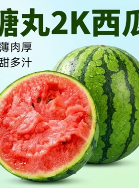 小糖丸冰糖西瓜脆甜多汁皮薄酥脆应季水果麒麟瓜2k10斤整箱包邮
