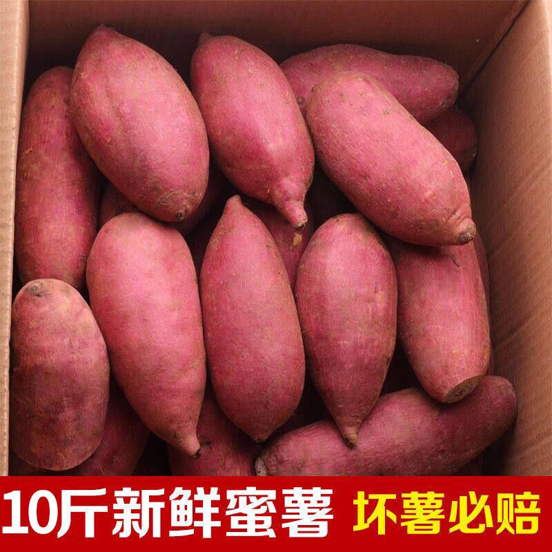 红薯新鲜蜜薯地瓜板栗沙地糖心农家自种番薯现挖烟薯香薯山芋
