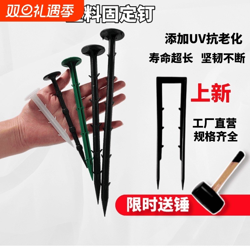 防草布地钉除草布塑料钉子拉枝地膜固定草皮u型丁倒刺园艺地布钉