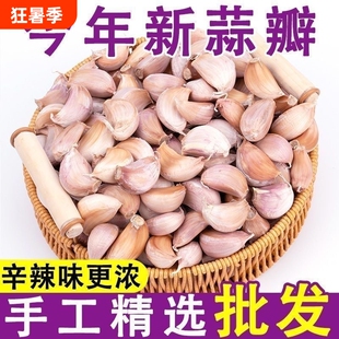 新鲜蒜瓣手剥蒜种子今年新蒜干可吃可种带皮旗舰店精选优质