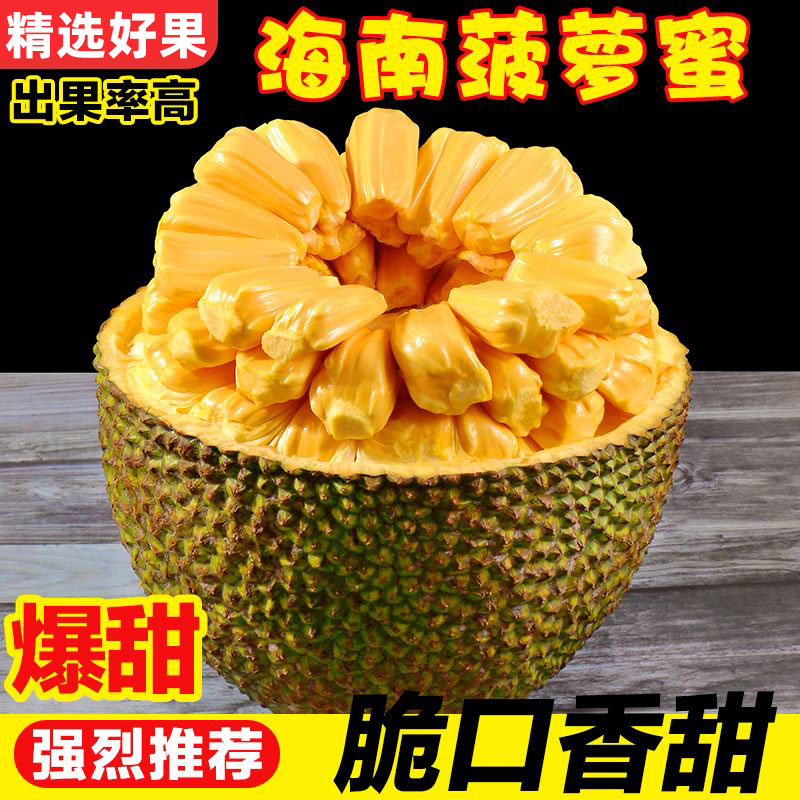 海南黄肉菠萝蜜三亚特产一整个新鲜波罗蜜当季水果孕妇包邮现摘