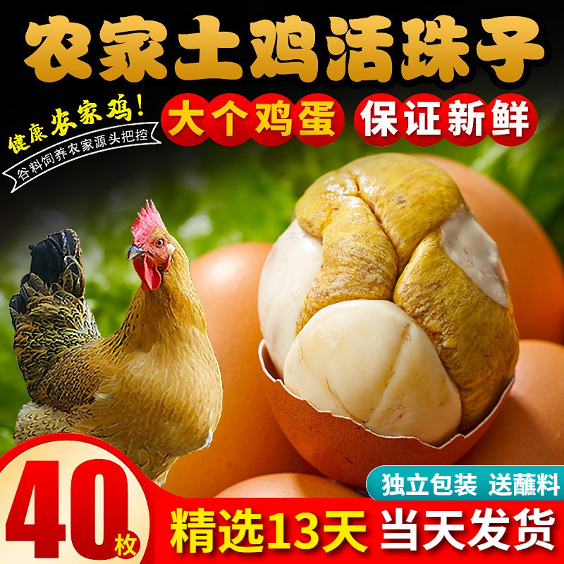 活珠子香辣毛蛋13天新鲜熟鸡蛋胚五香味钢化蛋开袋即食整箱包邮,水产肉类/新鲜蔬果/熟食,活珠子/毛胚蛋,淘宝优惠券,粉丝福利购,淘宝优惠卷