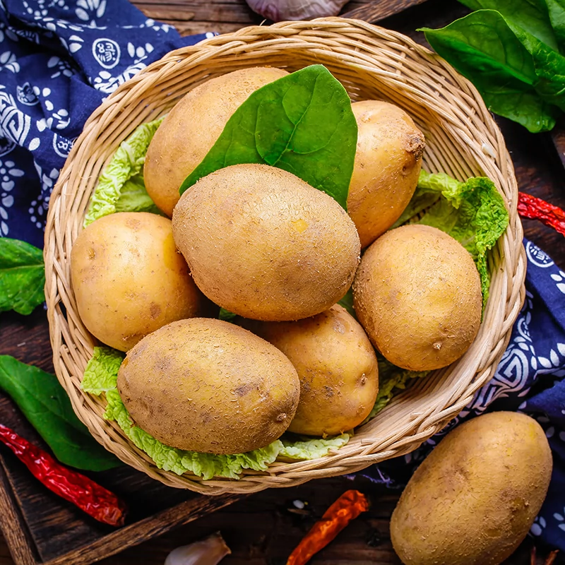 宜昌土豆黄心洋芋马铃薯新鲜高山农家现挖粉沙面黄心土豆当季蔬菜