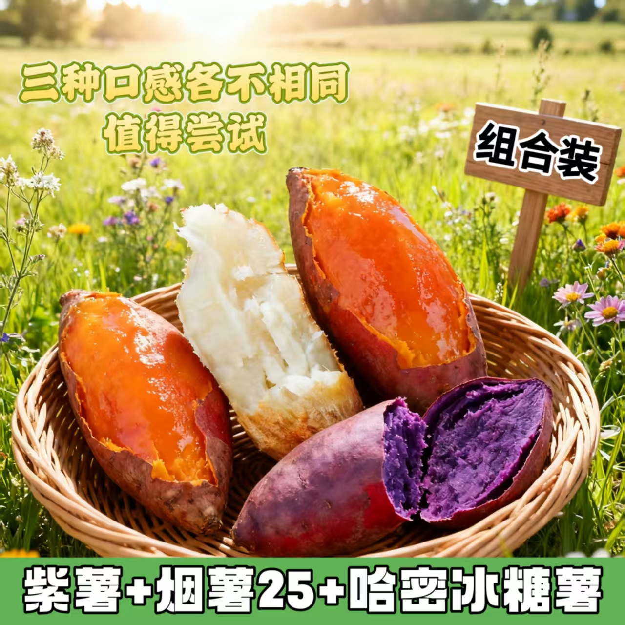 番薯河南三色红薯组合