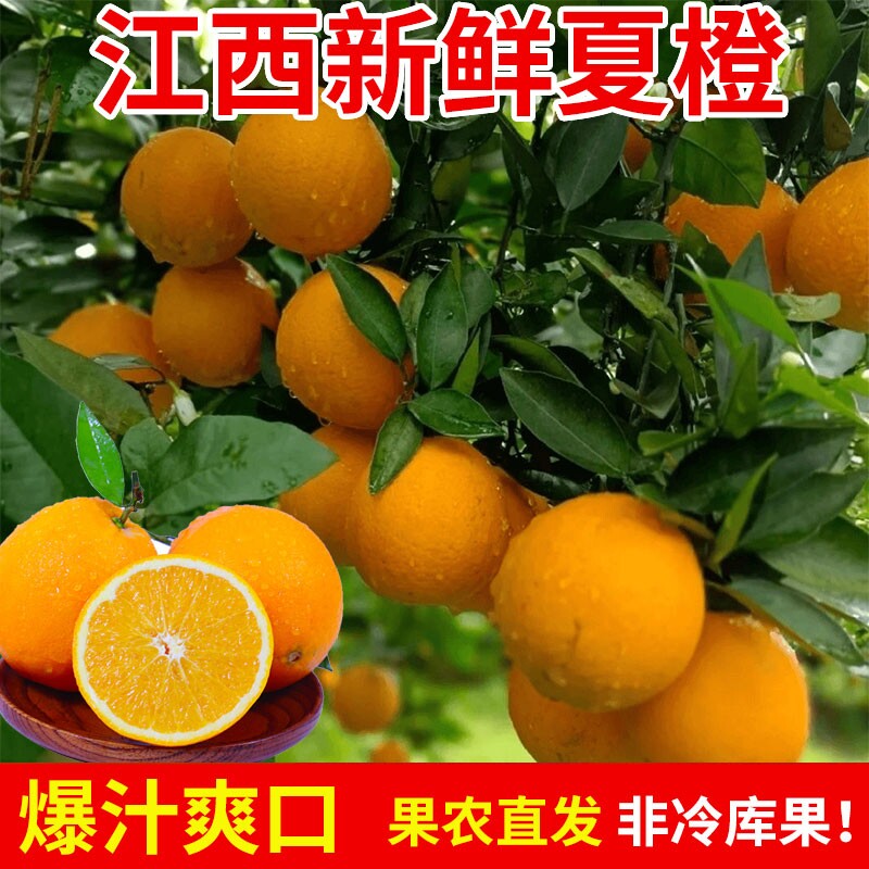 正宗江西脐橙夏橙脐橙橙子旗官方旗舰店新鲜水果甜现摘产地直发图片