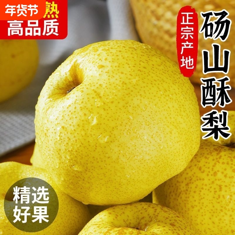 正宗砀山酥梨翠冠梨子安徽新鲜水果翠玉梨当季整箱产地包邮直发,水产肉类/新鲜蔬果/熟食,梨,淘宝优惠券,粉丝福利购,淘宝优惠卷