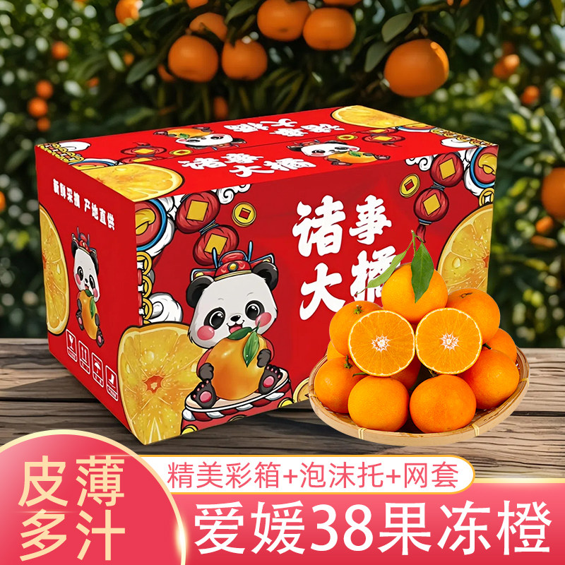 【彩箱装】爱媛橙4.5斤果径70mm+