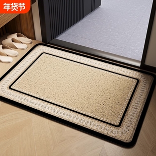 家用入户门地垫丝圈大门口进门蹭脚垫入门门垫门外高级感室外地毯