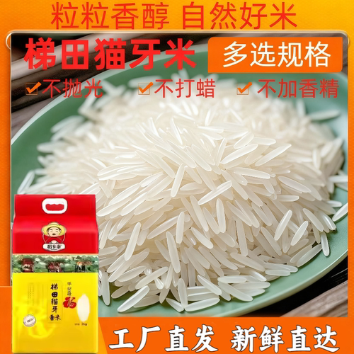 【正宗猫牙米】超长长粒香大米特级丝苗香米象牙10斤稻花香米现磨