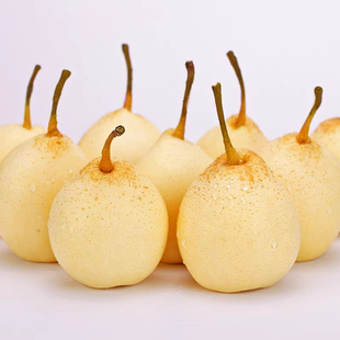 正宗河北鸭梨水晶梨新鲜水果现摘现发大个梨产地直供