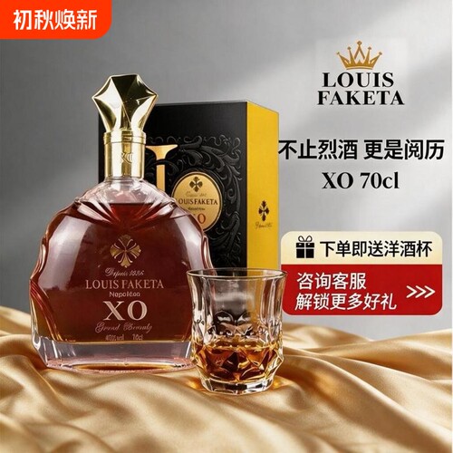 法国进口XO洋酒白兰地700ml