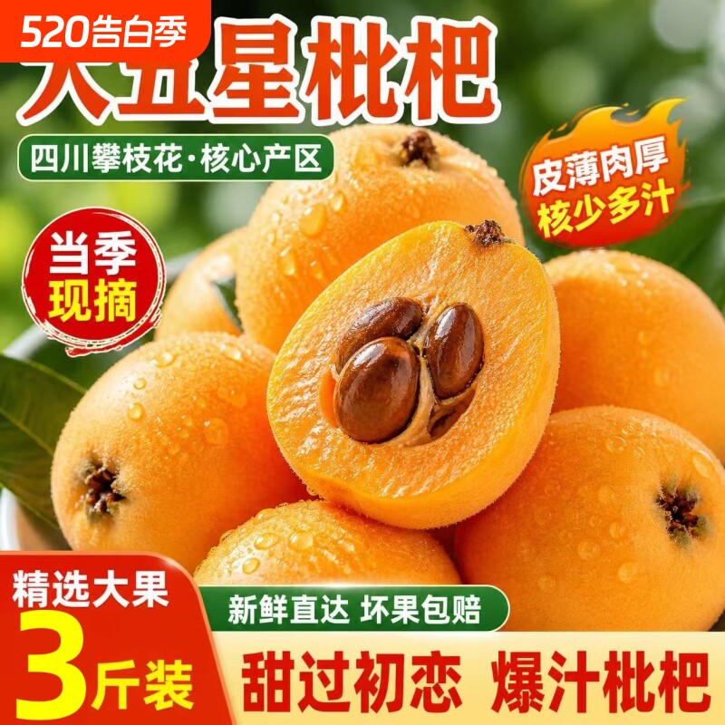 【彩箱】四川枇杷鲜果新鲜水果当季现摘枇杷果整箱包邮大五星枇杷