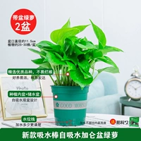 120#New Gallon Sa'an Pot [2] Pot +2 удобрения