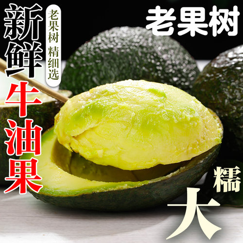 牛油果新鲜水果大果即食当季整箱包邮孕妇熟透一级鳄梨精选农场