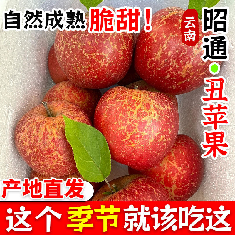 正宗云南昭通丑苹果冰糖心新鲜水果甜当季萍果红富士包邮,水产肉类/新鲜蔬果/熟食,苹果,淘宝优惠券,粉丝福利购,淘宝优惠卷