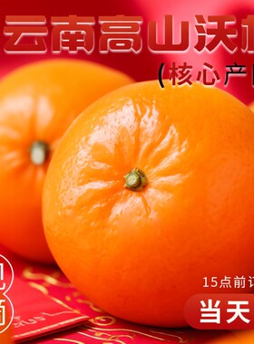 「官方推荐」新鲜现摘沃柑！现货