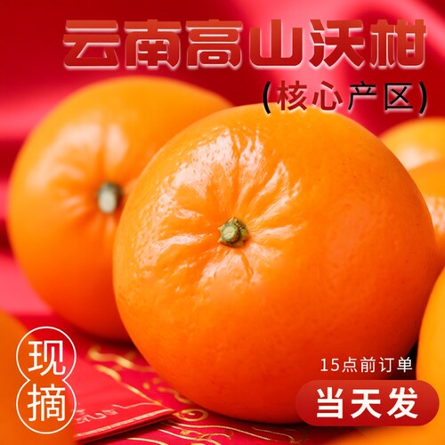 「官方推荐」新鲜现摘沃柑！现货