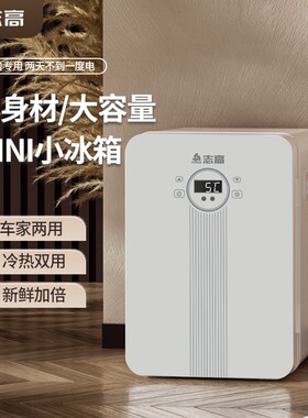 志高车载迷你小冰箱小型家用租房用制冷藏宿舍化妆品单人桌面