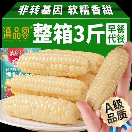 云南西双版纳拇指玉米新鲜傣家甜香糯迷你拇指玉米及即食早餐代餐