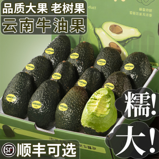 顺丰秘鲁进口牛油果15枚巨无霸当季 新鲜水果即食一级鳄梨软糯哈斯