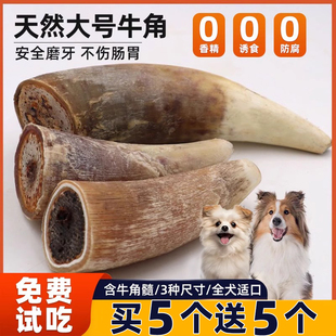 狗狗零食风干牛角磨牙棒含牛骨髓营养健康大中小型犬通用宠物零食