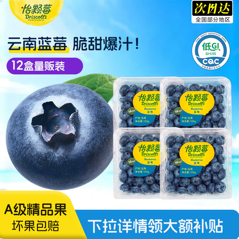 怡颗莓云南新鲜蓝莓中果云南蓝莓