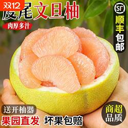 正宗度尾文旦柚福建红心柚子新鲜当季水果孕妇10斤装包邮现摘蜂蜜