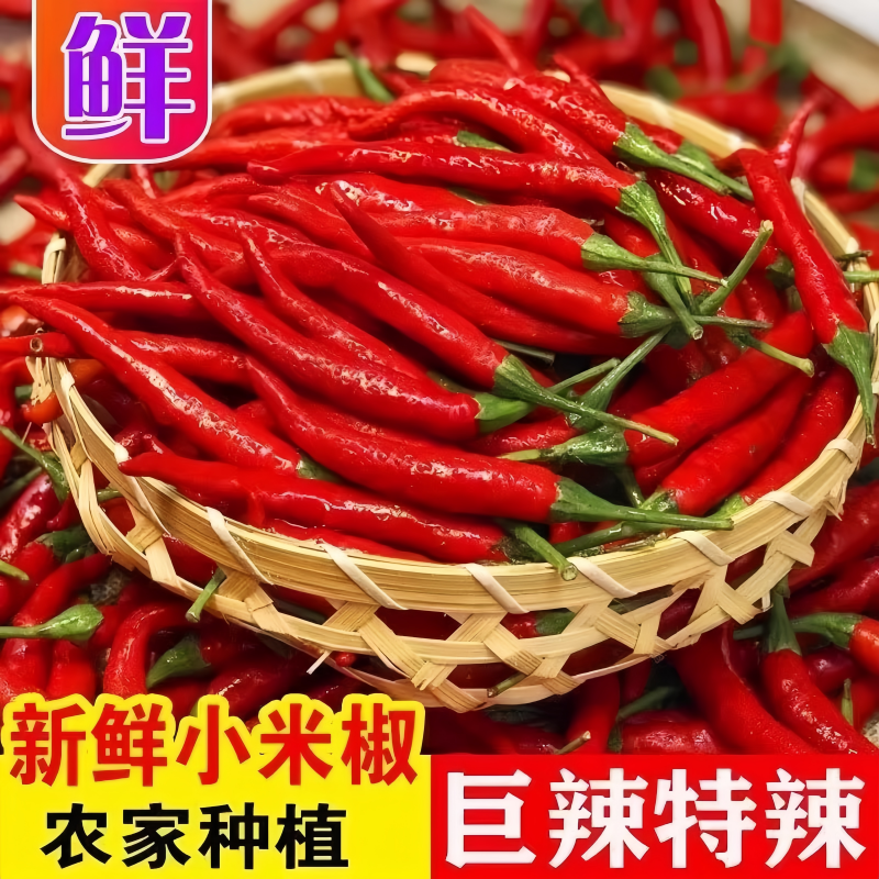 云南小米辣新鲜朝天椒薄皮土红辣椒超辣香辣浓郁无添加辣度爆表