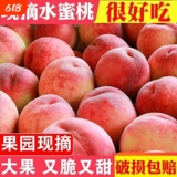 山西运城水蜜桃带箱5斤装 下拉点淘金币补贴13元包邮