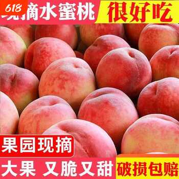 现摘现发新鲜水蜜脆桃现货水果孕妇大桃子大果整箱批发价蜜桃自提实付13元到手包邮