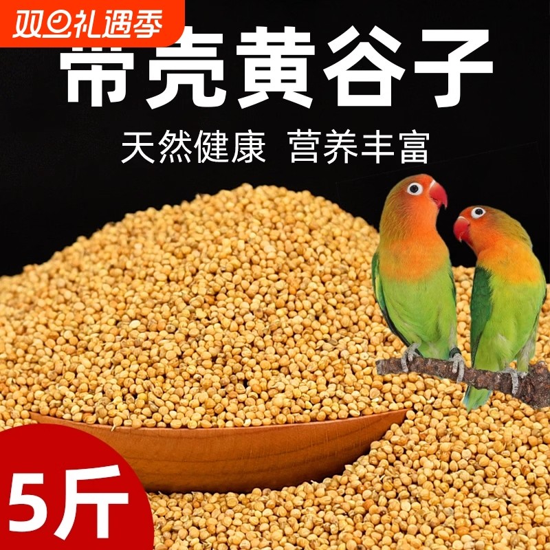 鹦鹉饲料鸟粮新黄谷子带壳小米虎皮鹦鹉饲料玄凤牡丹专用鸟食粮食