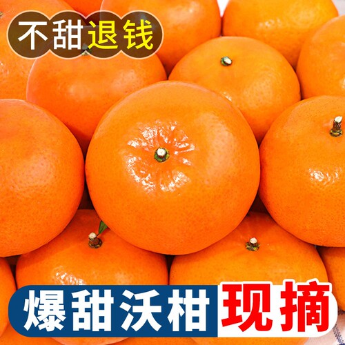 正宗云南沃柑水果新鲜应季当季橘子桔子整箱包邮蜜桔蜜橘现摘生鲜