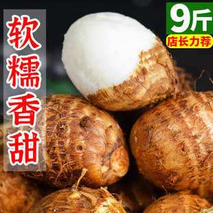 中鲜生云南牛奶小芋头新鲜农家粉糯毛芋头香芋艿净重9斤芋圆批发