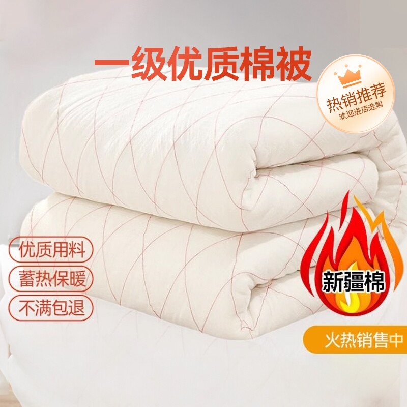 【全网低价】  新疆长绒棉被子被芯棉絮床垫被褥子冬被全棉纯棉花
