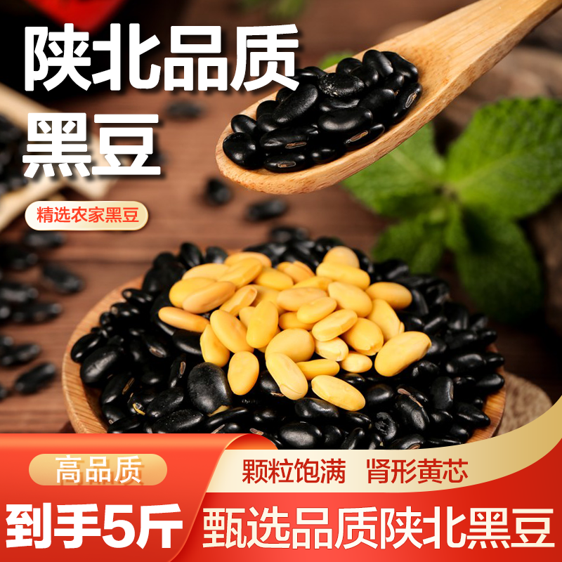 陕北黄芯黑豆新货农家500g老品种黄心小黑豆乌豆发豆芽豆浆豆子