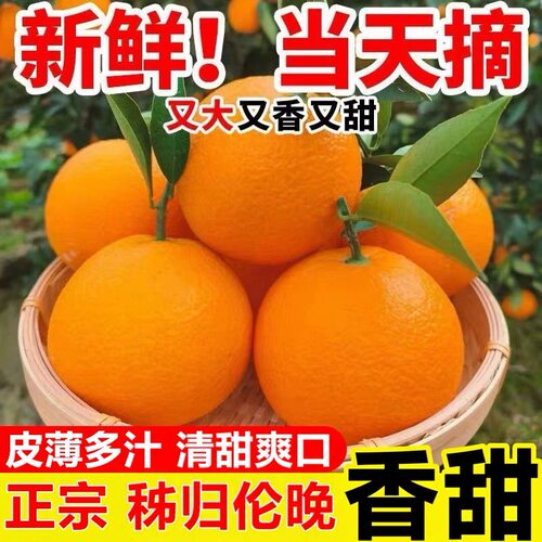 正宗湖北秭归伦晚脐橙新鲜现摘香甜橙子孕妇水果春橙9斤产地当季