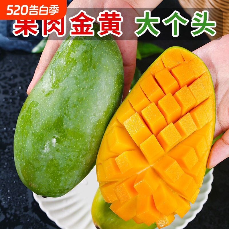 越南青芒  新鲜大芒果整箱当季热带水果金煌甜心大青芒整箱