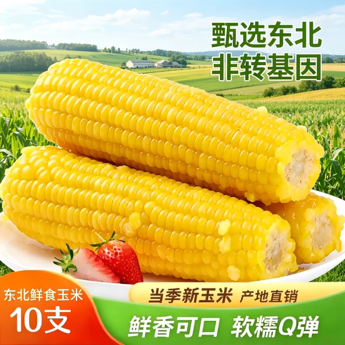 黄糯玉米甜玉米东北玉米鲜糯真空包装早餐加热即食粗粮香甜当季