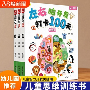 2-3岁幼儿宝宝左右脑开发思维训练打卡100天 儿童早教益智游戏书 幼儿园小班启蒙早教书全脑智力大开发动手动脑专注力训练绘本书籍