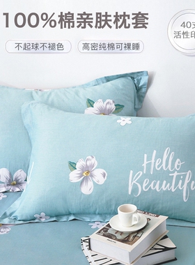 纯棉枕套全棉枕头套一对装100棉家用40x60cm单个48cmx74cm新款