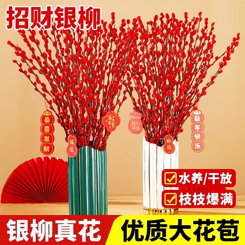 银柳真花鲜枝客厅摆件红色年宵花花卉干花干枝盆栽抱抱桶水培植物