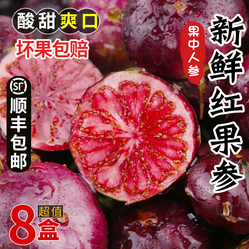 云南高山红果参新鲜水果蜘蛛果算盘果现摘稀罕见现摘整箱包邮顺丰