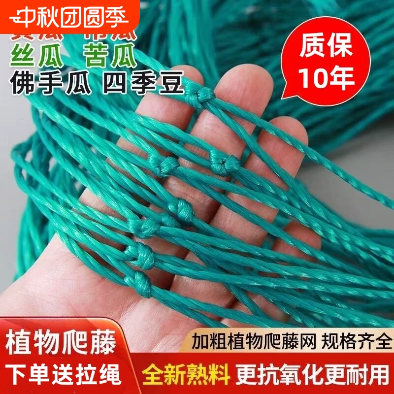 爬藤网植物攀爬网加粗耐用10年图片