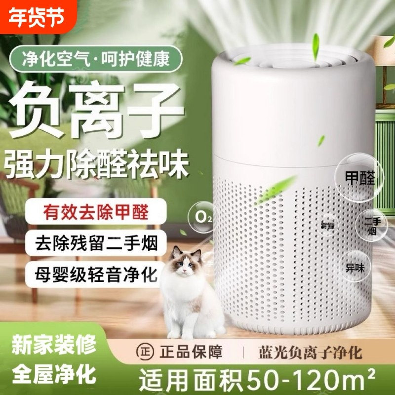 空气净化器除甲醛家用除烟味室内宠物除臭负离子消毒去异味净化机