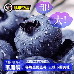 现摘烟台蓝莓新鲜水果山东黑莓特大果鲜果花香高山顺丰包邮农场