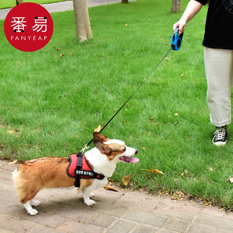 15Y牵引绳A1pl001-自动伸缩遛狗绳猫咪泰迪博美柯基中小型宠物牵
