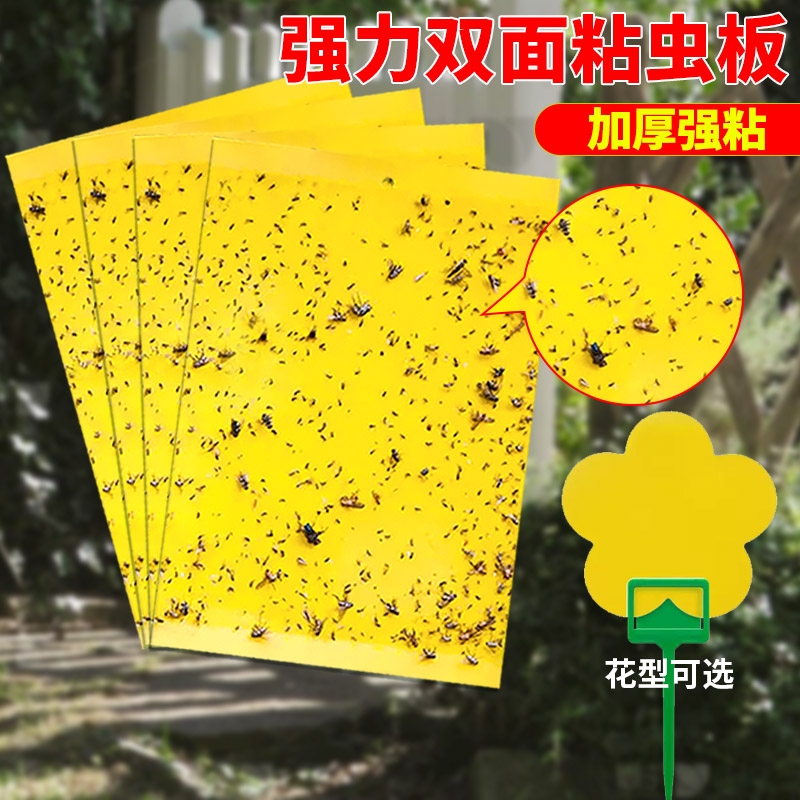 强力双面粘虫板黄板农业蓟马园林小黑飞果树茶园果蝇诱捕器神器