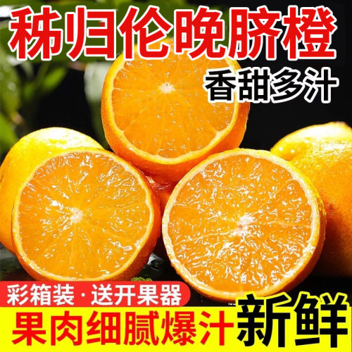正宗伦晚脐橙春橙秭归橙子当季新鲜水果整箱手剥果冻甜榨汁大果