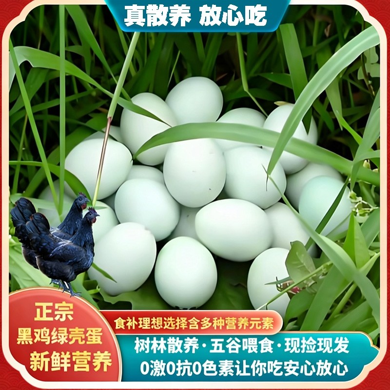 鸡蛋新鲜土鸡蛋正宗农家散养生鲜50枚无抗无激素柴草谷物乌鸡农场,水产肉类/新鲜蔬果/熟食,鸡蛋,淘宝优惠券,粉丝福利购,淘宝优惠卷
